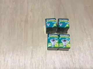 4 stk. 50 w halogen pære 