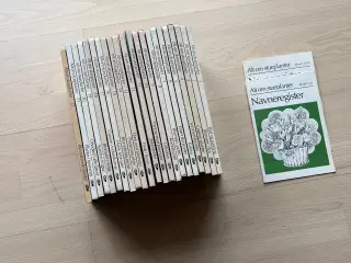 Alt om stueplanter
