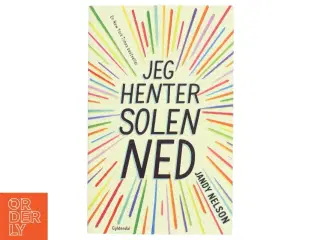 Jeg henter solen ned af Jandy Nelson (Bog)
