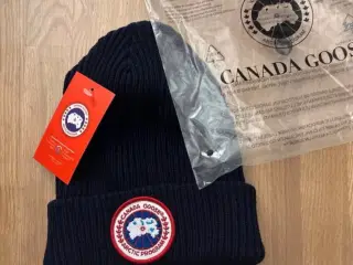 Canada goose hue 