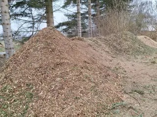 Træflis fra grantræer sælges