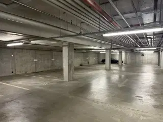 41 flydende parkeringspladser til leje