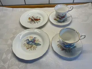 Rosina Bone China