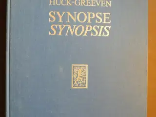 synopse der drei ersten evangelien - synopsis of t