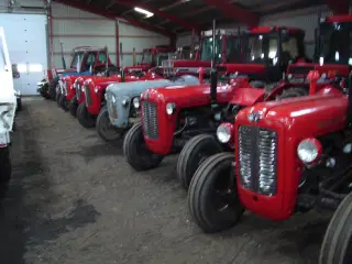 Massey Ferguson  35   3 cyl Diesel   Traktor