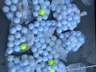 Golfbolde 
