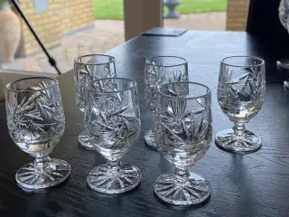 6 ølglas og 6 snaps glas 