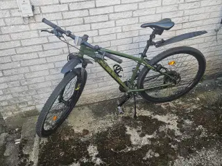 SCO REBEL 29"