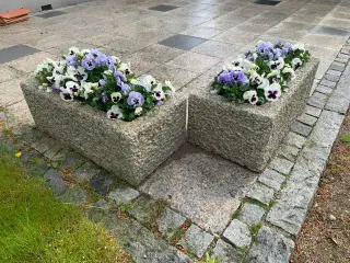 Unikke aflange blomsterkrukker i massiv granit 