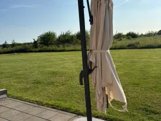 Parasol