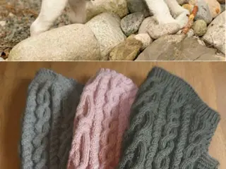 Nye håndstrikkede hundedækkener