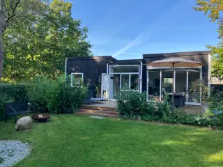 Moderniseret kolonihave i Holbæk
