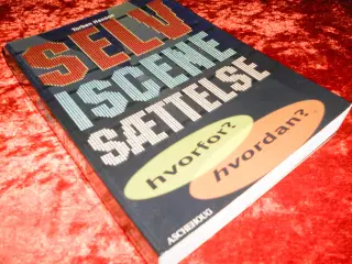 Selviscenesættelse, Torben Hansen, 