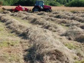 Lækker enghø