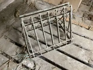 Ung Tyr søges gerne Skotsk Højland eller galloway