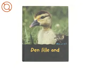 Den lille and