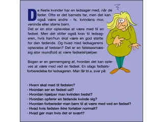 Fødselshjælperen - En Håndbog til Ledsageren