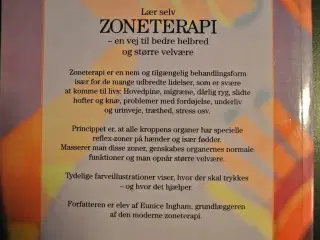 zoneterapi trin for trin, af ann gillanders