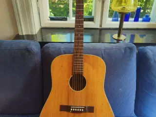 western guitar