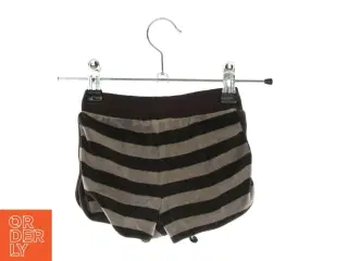 Shorts fra Katvig
