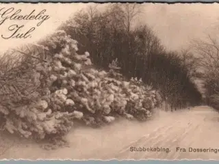 Stubbekøbing - Glædelig Jul - Fra Dasseringen - Postkort - Brugt