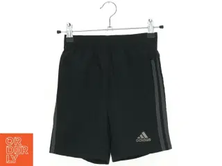Adidas shorts (str. 116 cm)