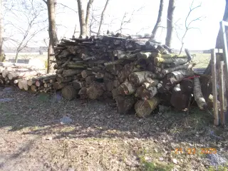 brænde