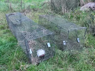 Tråd fælder / rævefælder / Mårhund fælder