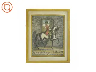 Billede i guldramme (27x22cm)
