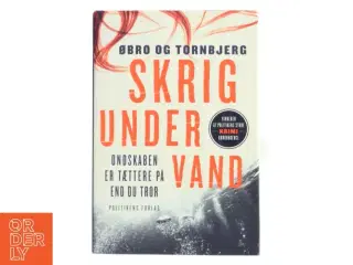 Am Ende Eines Sommers, Roman,, Aus Dem Englischen Von Rainer Schmidt af Øbro og Tornbjerg (Bog)