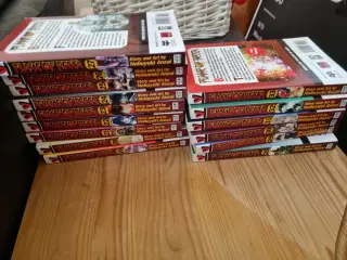 Manga. Flame of Recca Vol. 1-33 (hele serien).