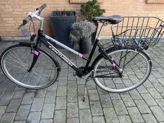 Flot og velholdt pige citybike