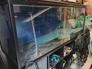 530ltr sort akvastabil effectline 