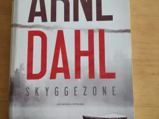 Skyggezone, Arne Dahl