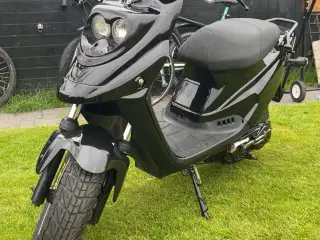Pgo