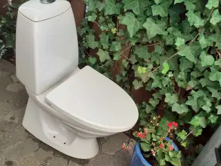 Ifø toilet 