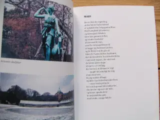 Susan Skovborg Roed f.1950. Nøkkerosernes Sang