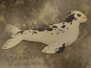 Sæl