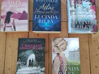 Lucinda Riley Bøger samlet