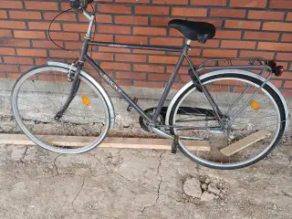 Cykel