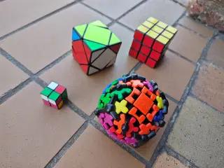 En lille flok Professor Terninger 