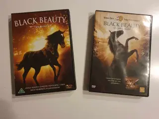 DVD film Black Stallion