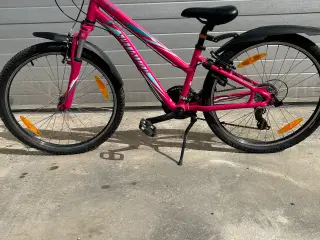 Specialized pige cykel 24”