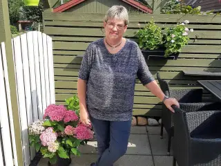 Hund søges til min søde svigermor 