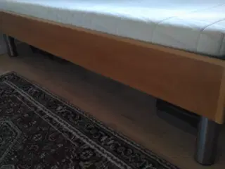 Enkeltseng i bøgetræ