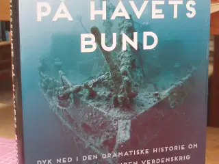 Krigsskibe på havets bund af Nicholas A. Veronico