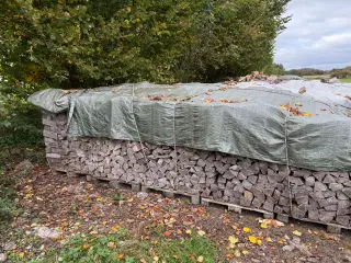 Bøgebrænde sælges. Fyringsklart