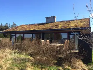 Nyere arkitekttegnet LAVENERGIHUS (LUKSUS med INTERNET og WELLNESS).Nr. Vorup�r, syd for Klitm�ller