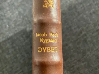 Bog: Dybet af Jacob Bech Nygaard