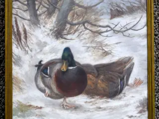 Akvarell eller kunsttryk af I Funch